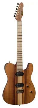 ESP EUSTE2HTKOAMG67S2 usa te2 ht koa gh nat satin sd2