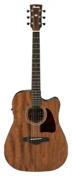 Ibanez AW54CE-OPN Natural Artwood