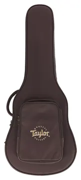 Taylor Aero Case GA
