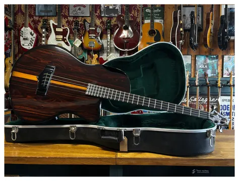 Emerald Balor Bass Cocobolo 2020