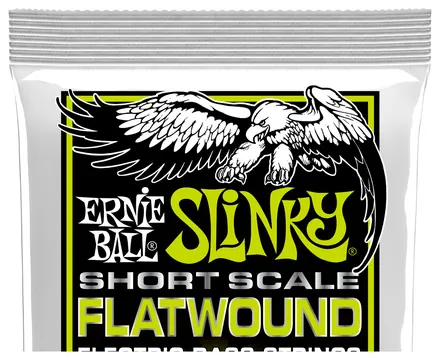 Ernie Ball Regular Slinky Flatwound 2818 Short Scale .045-.105