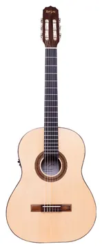 Rozini Studio RX210 FC2 N LP Elétrico EQ Fishman