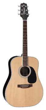 Takamine EF360GF Glenn Frey Guitar