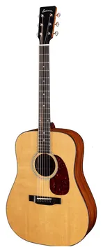 Eastman E1D Deluxe Westerngitaar met Element inclusief Gigbag
