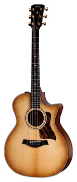 Taylor 314Ce LTD 50Th Anniversary