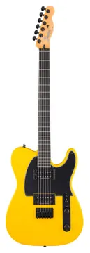 Fender Player II Adv Tele HH EB FYLW
