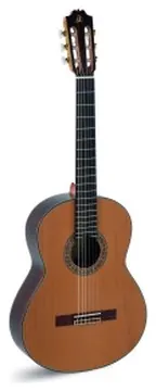 Admira ADM15EF A15 ELECTRIFICADA CON FISHMAN SERIE ARTESANIA