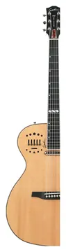 Godin Multiac Steel Natural HG 2025 Limited Edition