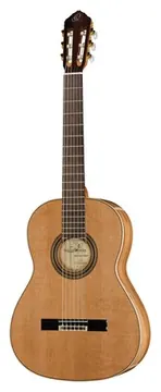Ortega R20GRG