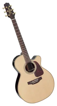 Takamine P5NC Pro Japan - natural gloss