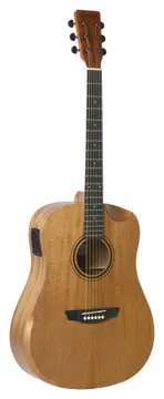 Strinberg Forest Folk Cutaway
