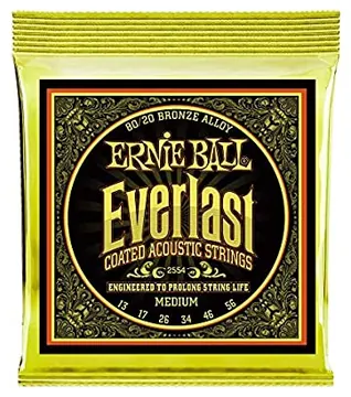 Ernie Ball Everlast Coated Acoustic Set 13-56