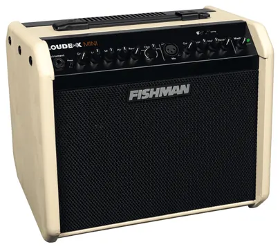 Fishman Loudbox Mini LBT500 Crème