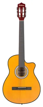 Waldman Eletroacústico Aço FLCE39S AM