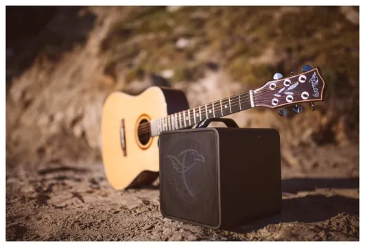 Falken1 Traveller BK Akku 40Watt Tragbarer Akustik-Verstärker, schwarz