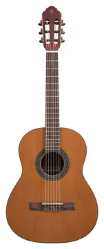 Eko Guitars Vibra 75 Natural