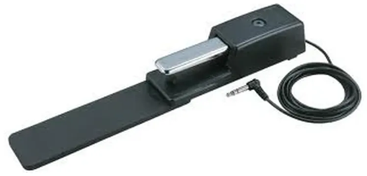 Roland DP-10