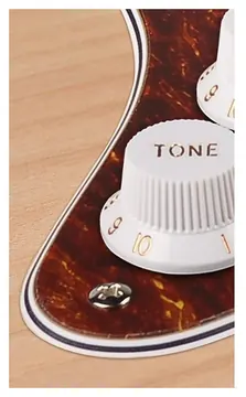 Boston ST-431-T pickguard