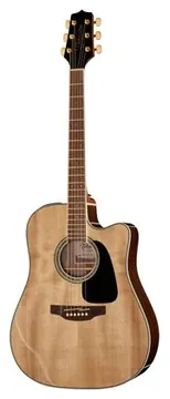 Takamine GD51CE NAT