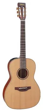 Takamine P3NY