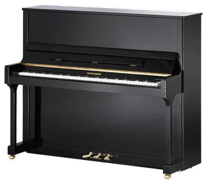 W. Hoffmann Tradition T-128 Zwart Hoogglans Piano