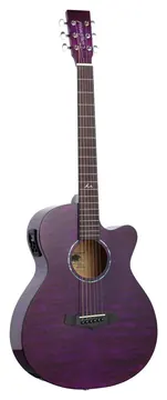 Tanglewood TA4-CE-PU