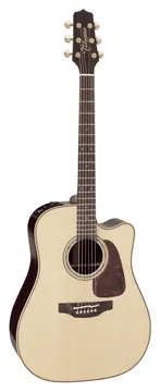 Takamine Japan P5Dc Dreadnought Cutaway
