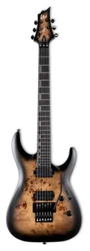 ESP/LTD H-1001FR Black Natural Burst