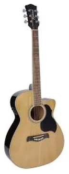 Richwood Artist Series Acoustic Guitar, RA-12-CE