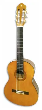 Yamaha CGS102A