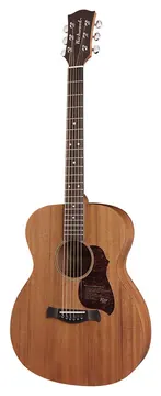 Richwood Master Series A-50-E handmade auditorium OOO guitar