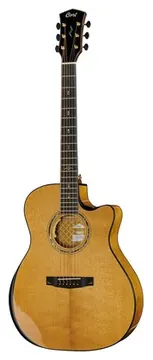 Cort Gold Edge