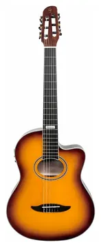 Giannini Performance GNF-3 TS