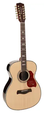 Richwood Master Series A-7012-VA handmade auditorium OOO 12-string guitar