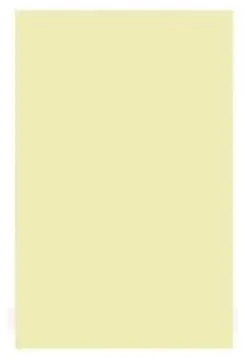 Boston Pickguard Sheet - Mint - 3 Ply - 45x29cm