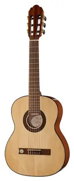 Gewa Pro Arte GC50A
