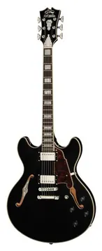 DAngelico Premier DC Black Flake V2