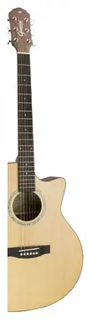Giannini Cutway GSF-3 CEQ NS - Giannini