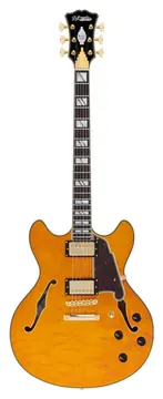 D'Angelico Excel DC XT Vintage Natural