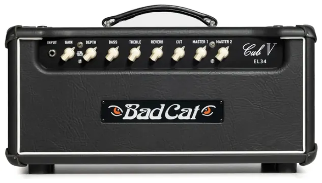 Bad cat Cub V EL34 Head