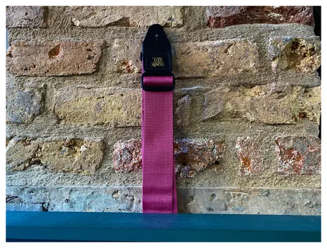 Ernie Ball Polypro Raspberry & Black Strap