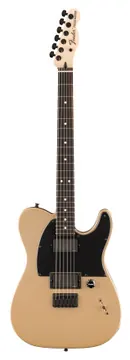 Fender Limited Edition Jim Root Telecaster EB Shoreline Gold