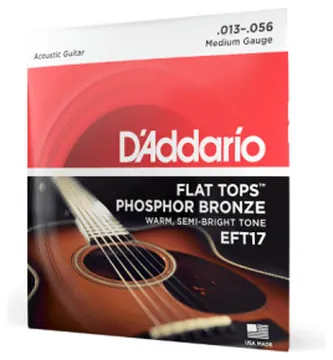 Daddario D'Addario EFT17 13-56 Medium, Flat Tops Phosphor Bronze Acoustic