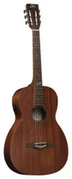 Eko Guitars Duo P200e