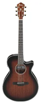 Ibanez AEG74 MHS Aco Mahogany High Gloss