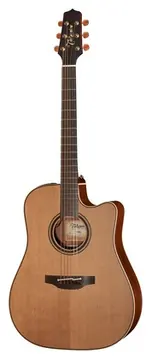 Takamine P3DC w/Softcase