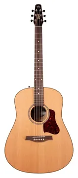 Seagull Coastline Momentum Electro-Acoustic Guitar ~ HG