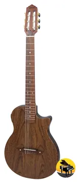 Giannini Flat Cutaway Stage STN SUC (NS)