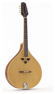 Ozark 2242 flat back octave mandola, Celtic model