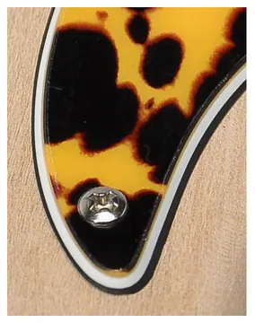 Boston JB-310-WCY pickguard